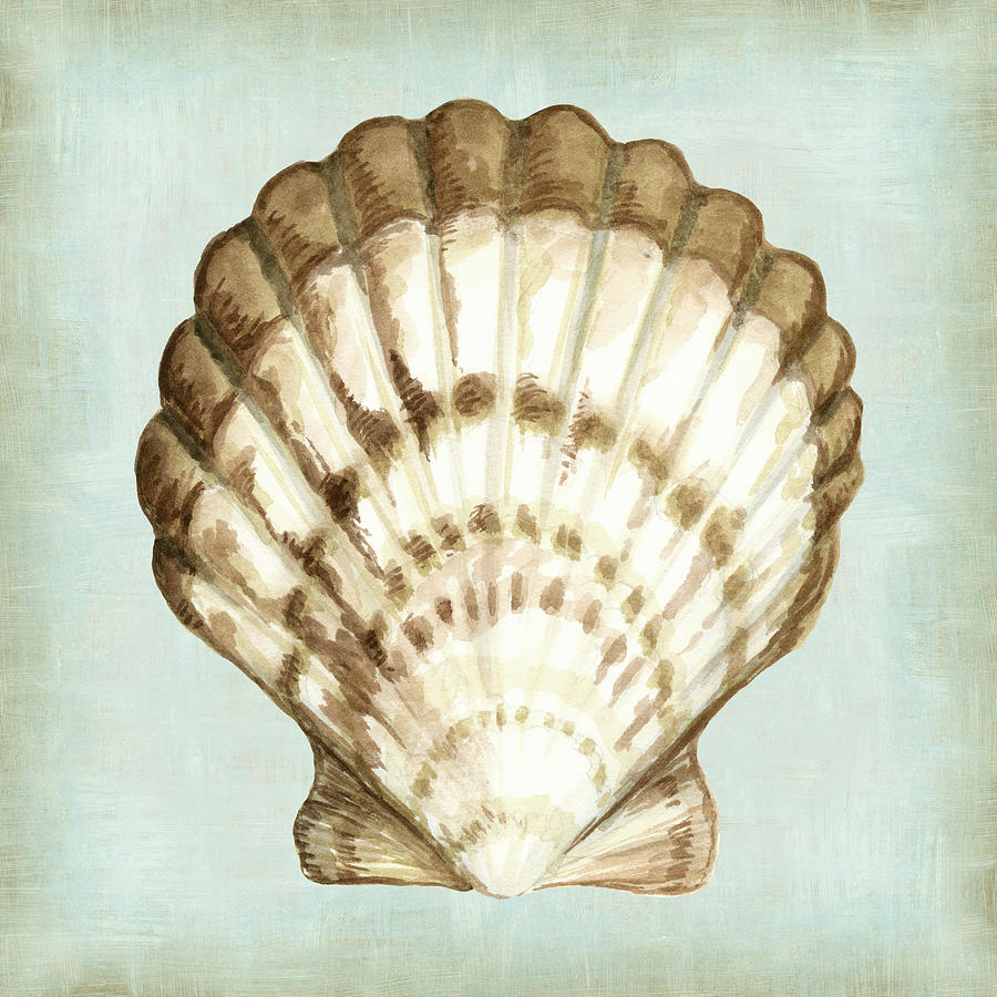 Sea Dream Shells IIi Painting by Vision Studio