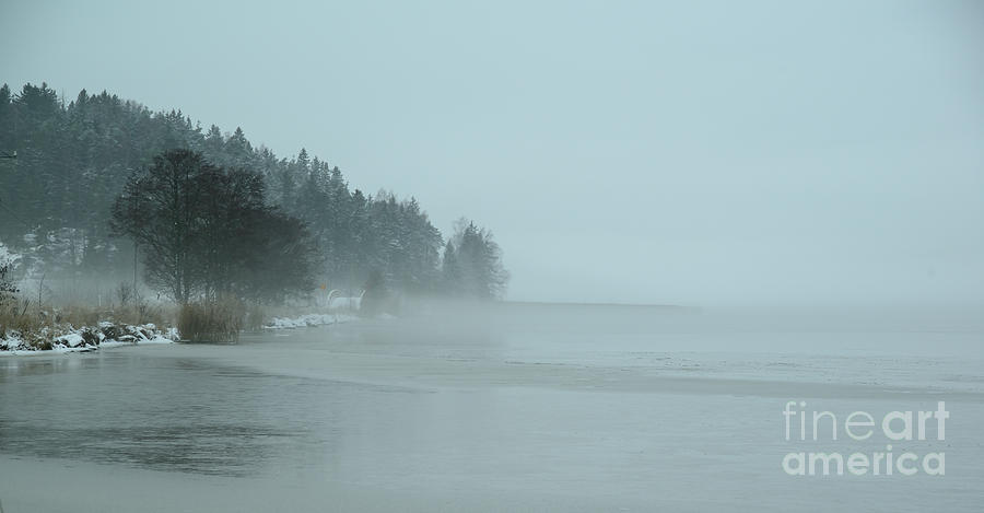 Sea fog Photograph by Esko Lindell