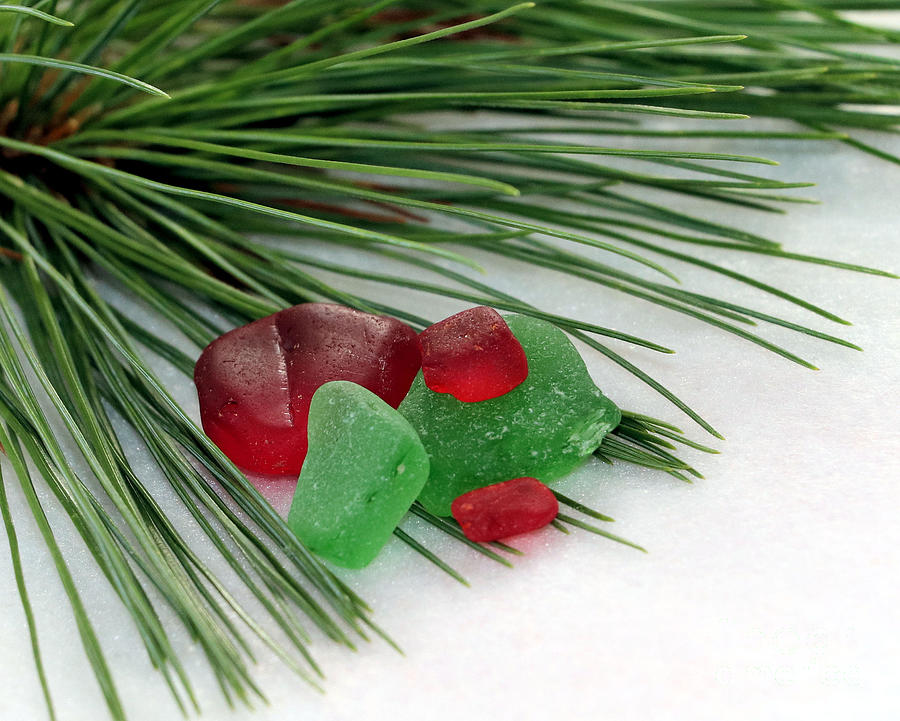 Sea glass and pine needles Photograph by Janice Drew