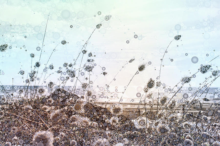 Sea Grass by Susan Maxwell Schmidt Sea Grass by Susan Maxwell Schmidt