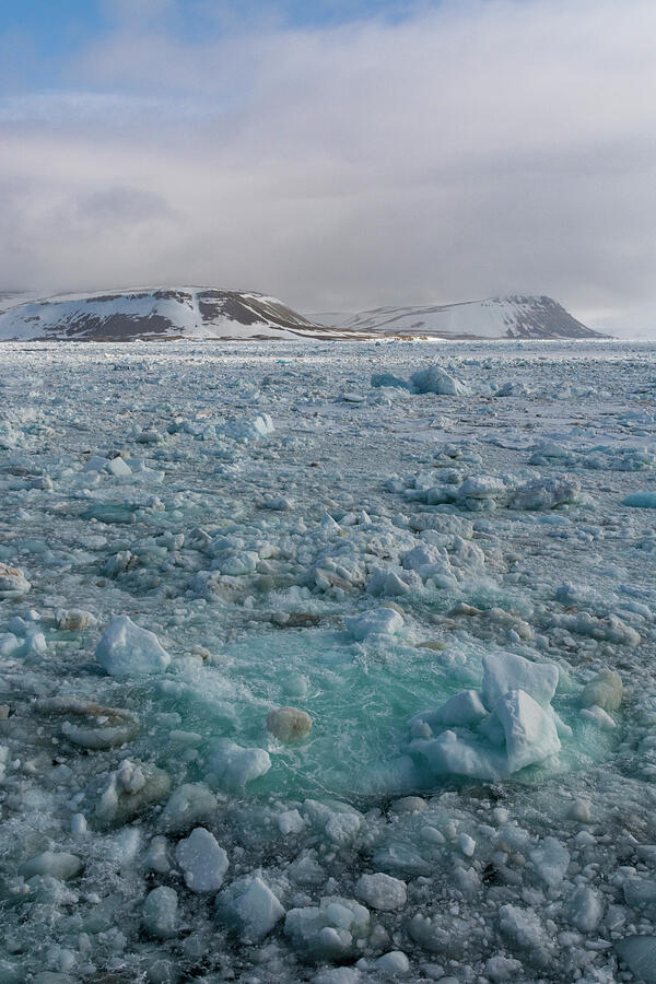 Sea Ice In Wahlenbergfjorden Fjord Photograph by Sergio Pitamitz - Fine ...