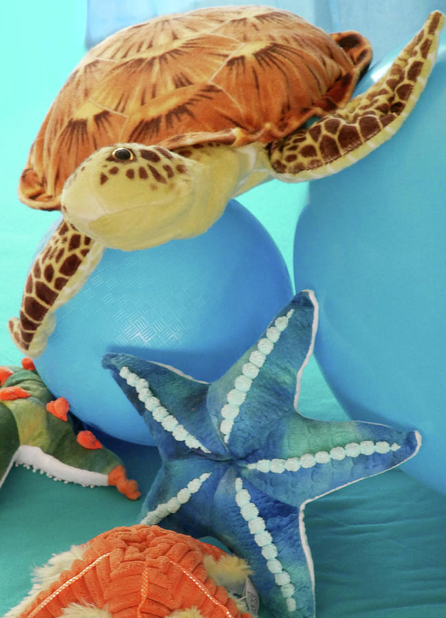 Stuffed Animal Photograph - Sea LIfe Plush Toys and Bouncy Balls by Scott Johnson