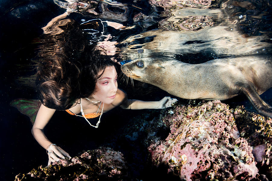 Mermaid Photograph - Sea Lion And Mermaid by Andrea Izzotti