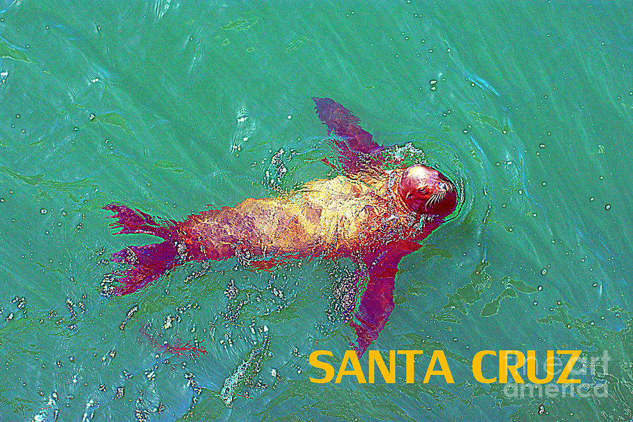 Boat Digital Art - Sea Lion - Santa Cruz by David Hinds