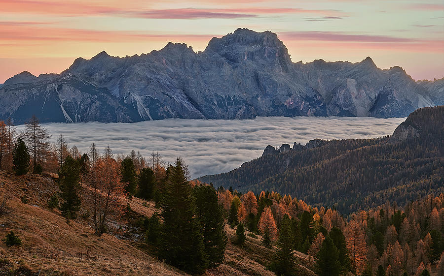 Sea of Clouds in the Dolomites Photograph by Jon Glaser