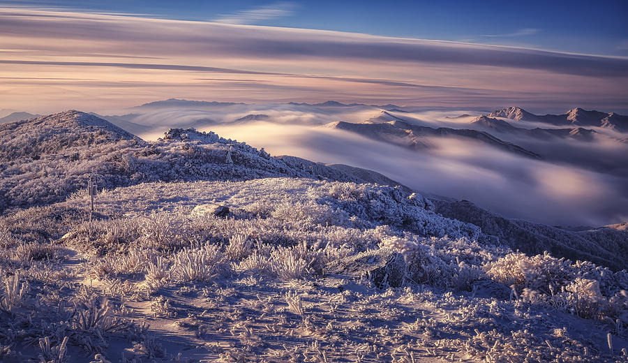 Sea Of Clouds Photograph by Tiger Seo
