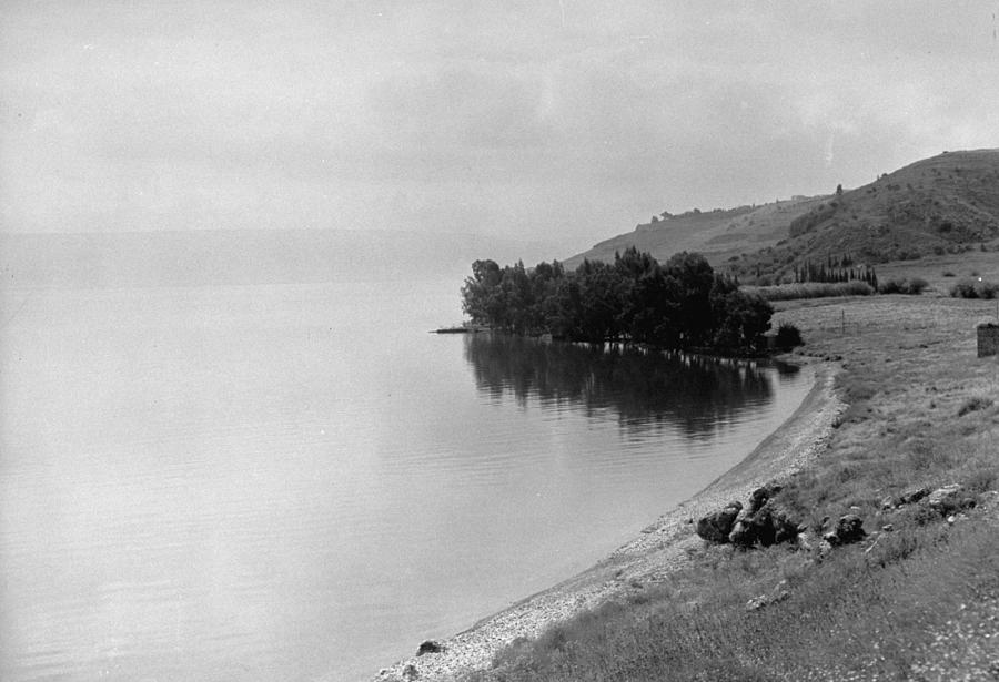 Tree Photograph - Sea of Galilee by John Phillips
