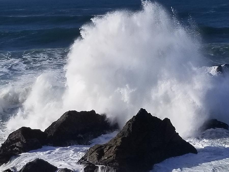 Sea Ranch, huge waves after the storm by Lettie Neuhauser-MacLachlan Sea Ranch, huge waves after the storm by Lettie Neuhauser-MacLachlan