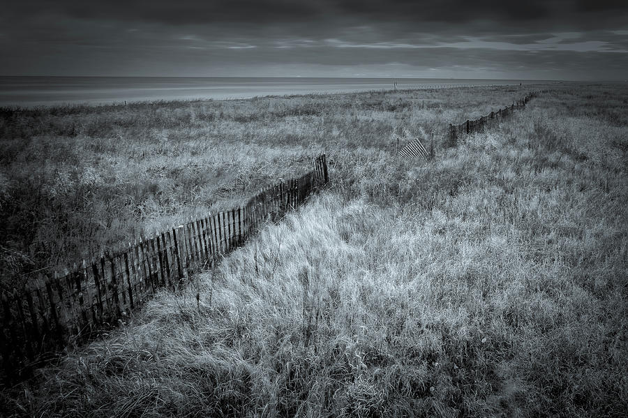 Sea Rim Fence Photograph by David Heilman