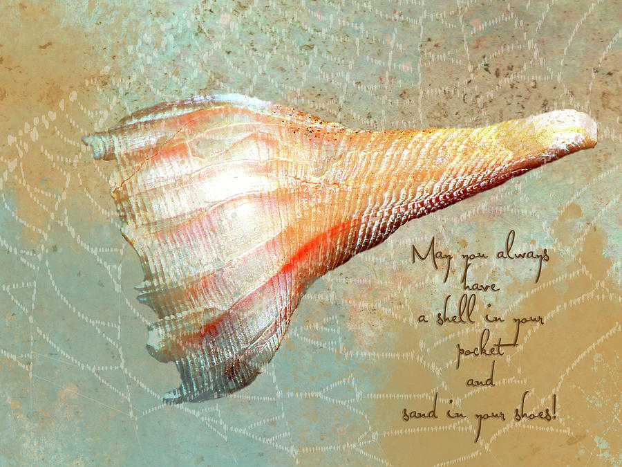 Sea Shell Greeting Card Digital Art by Linda Cox