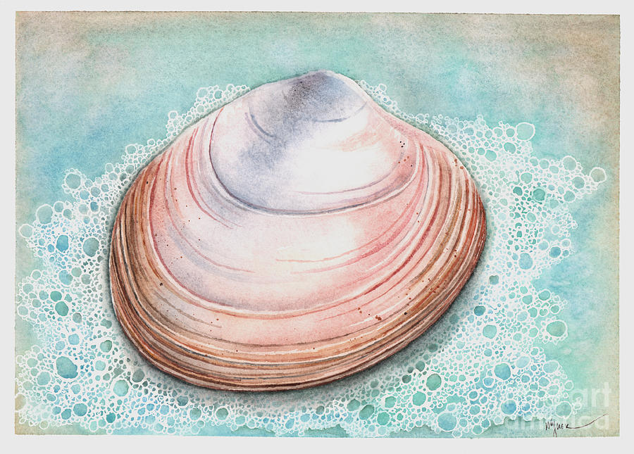 Sea Shell Painting by Hilda Wagner