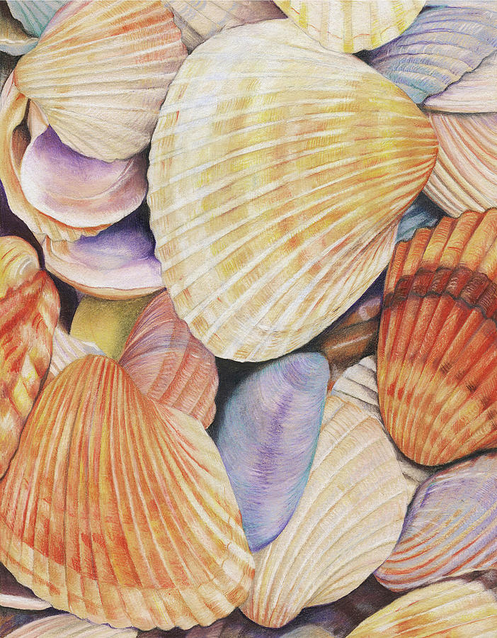 Shell Painting - Sea Shells by Judith Selcuk Illustrations