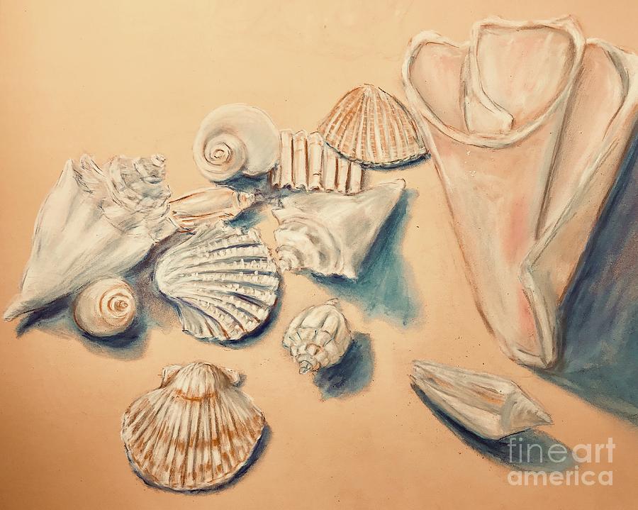 Sea Shells Pastel Drawing  Pastel by Lavender Liu