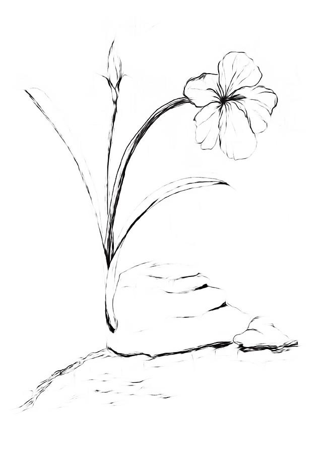 Sea Side Wild Flower PAINT MY SKETCH Drawing by Delynn Addams