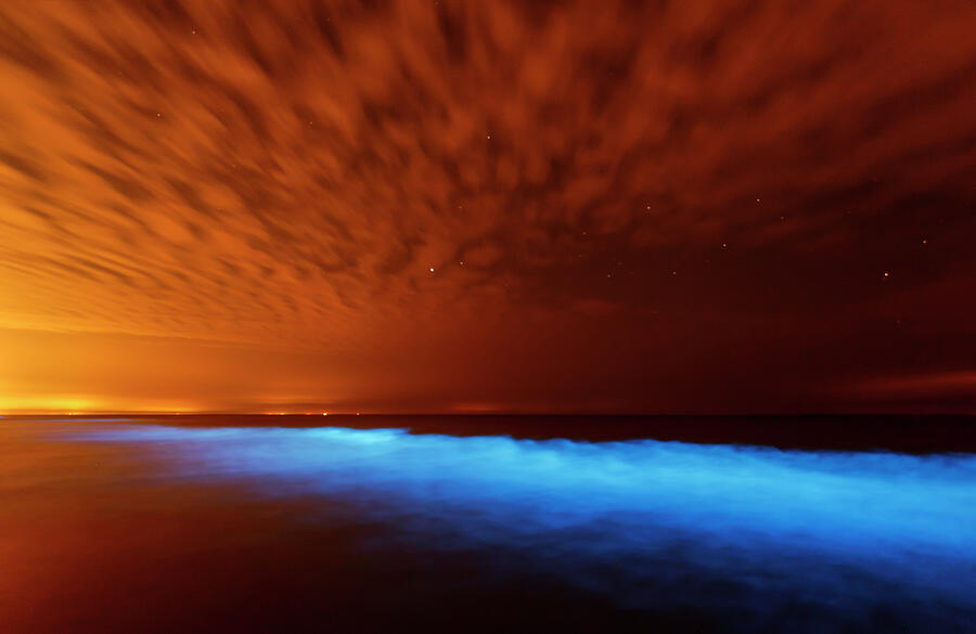 Magic Photograph - Sea sparkle series - Natural light show by Roeselien Raimond