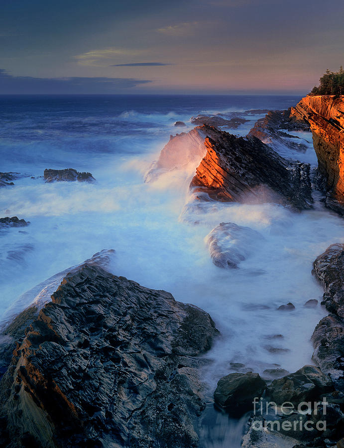 Sea Stacks At Sunset Shore Acres Oregon Photograph by Dave Welling