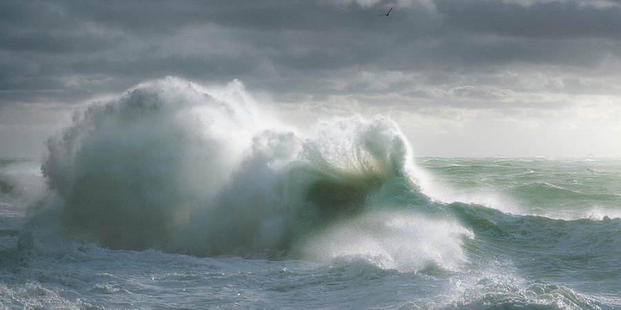 Sea storm 3 Photograph by Giovanni Allievi
