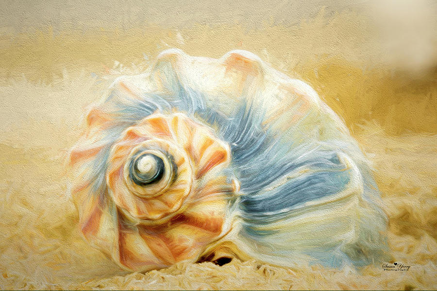Sea Treasure #BL8978 Digital Art by Susan Yerry