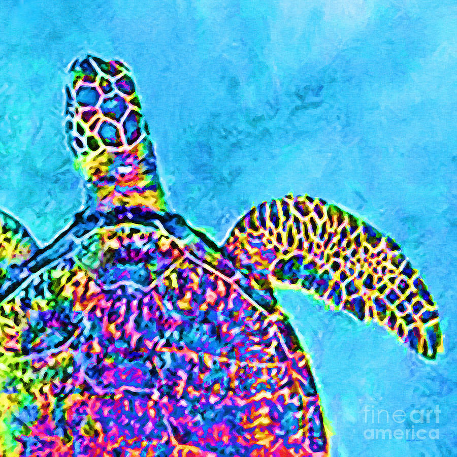 Sea Turtle 20190202sq Photograph by Wingsdomain Art and Photography