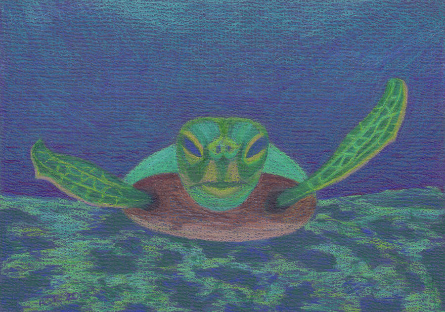 Sea Turtle Drawing by Anne Katzeff