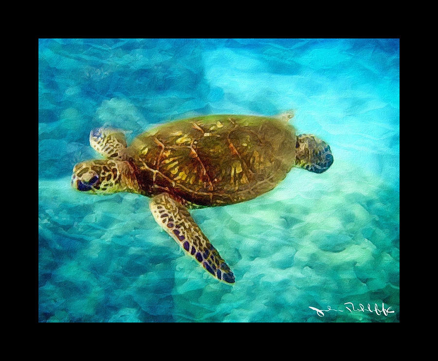 Sea Turtle Digital Art by John Rohloff