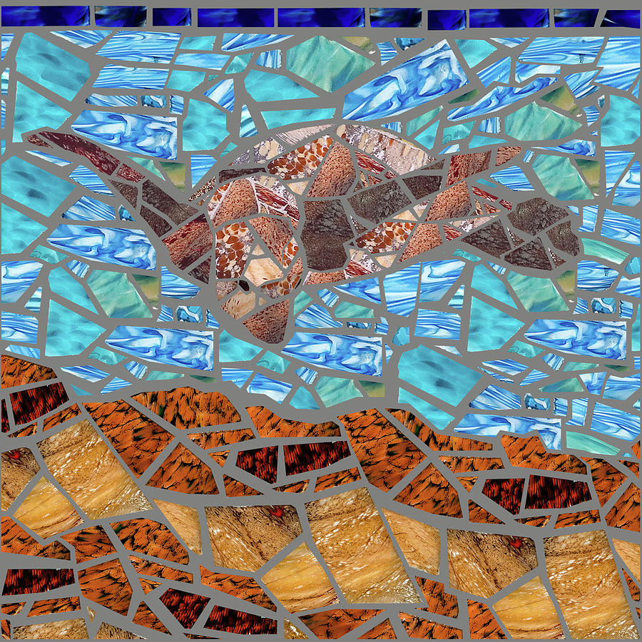 Wildlife Mixed Media - Sea Turtle by Jonathan Mandell