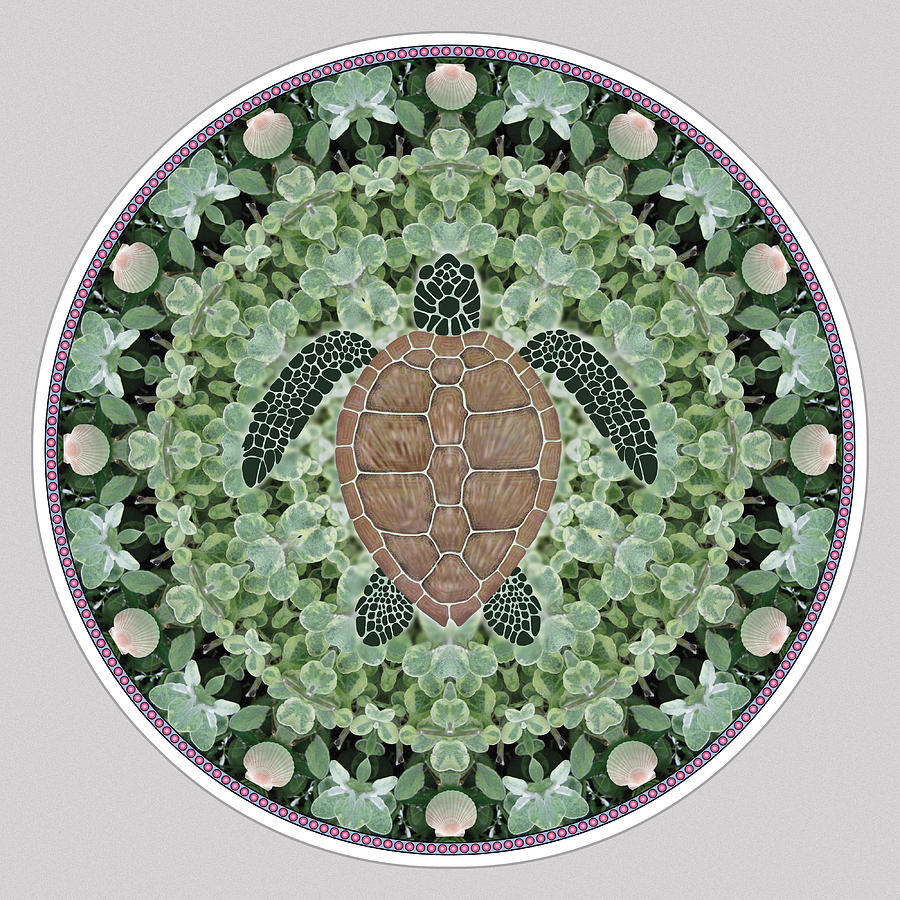 Sea Turtle Mandala Digital Art by Daniel McPheeters - Fine Art America