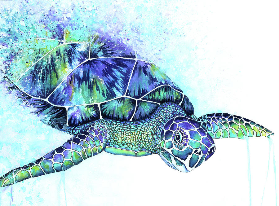 Sea Turtle Painting by Michelle Faber - Fine Art America