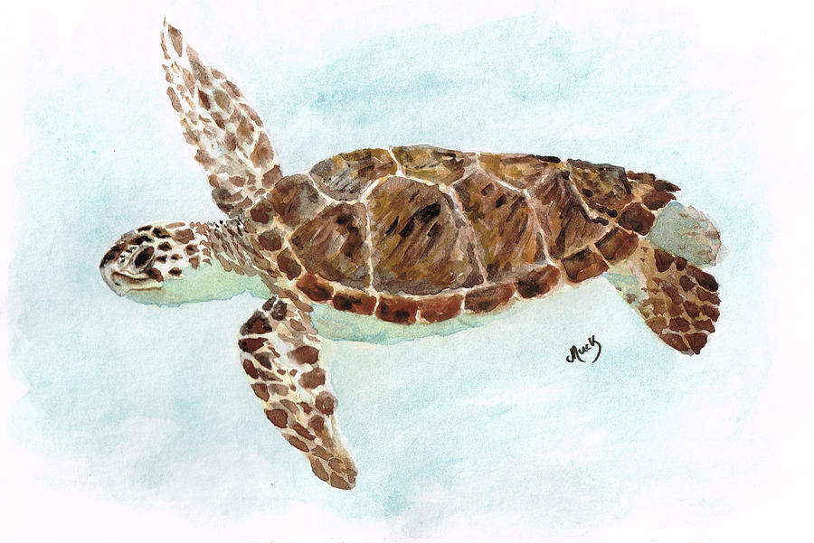 Sea Turtle Painting by Michelle Michelle - Fine Art America