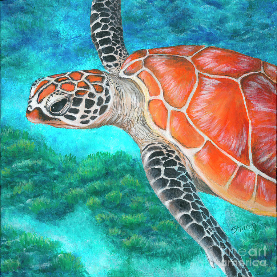Sea Turtle Painting by Sharon Molinaro