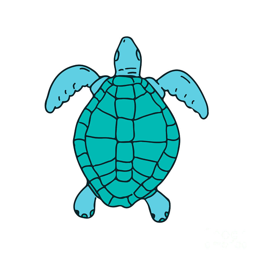 Sea turtle realistic artistic colored drawing Vector Image