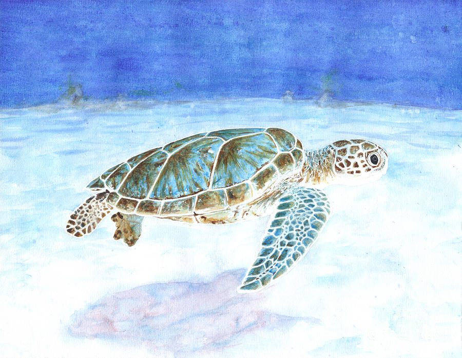 Sea turtle underwater Painting by Marylene Charvet - Fine Art America