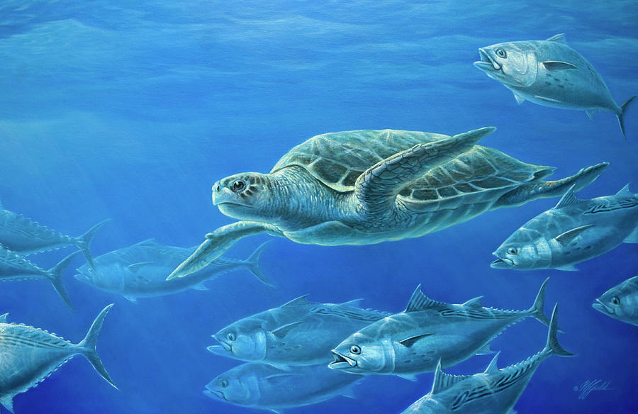 Animal Painting - Sea Turtle by Wilhelm Goebel