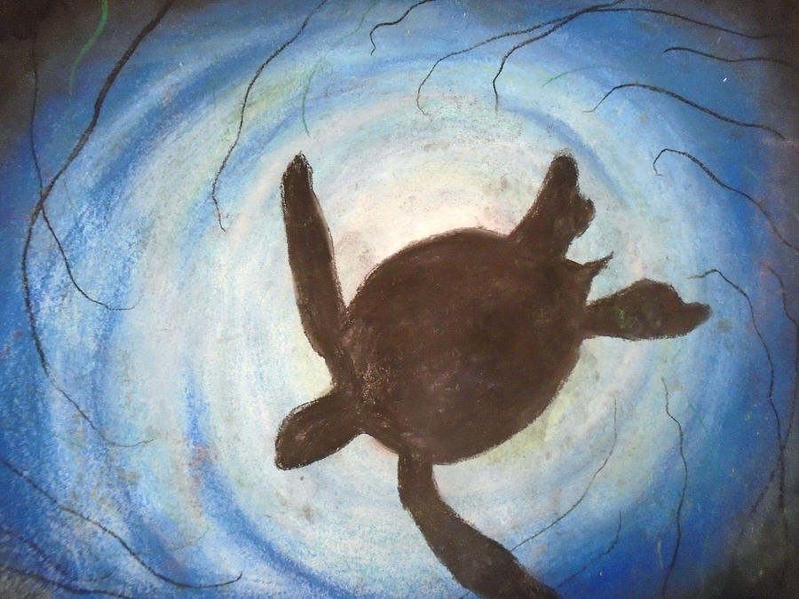 Sea Turtleling  Pastel by Jen Shearer