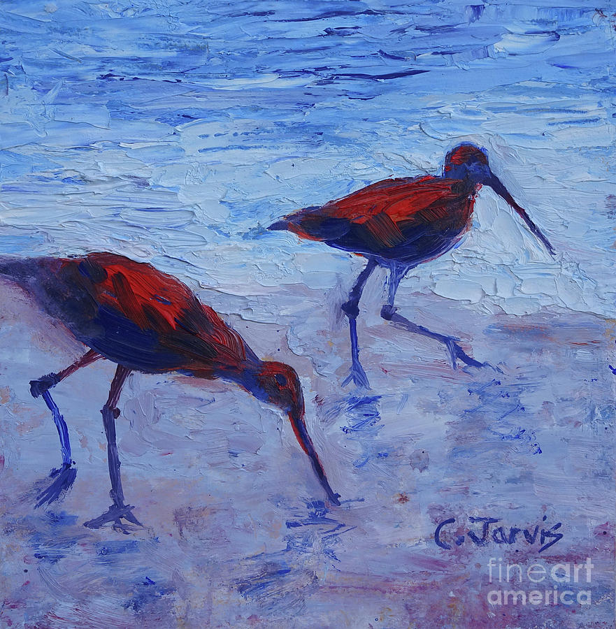 Seabird Stroll by Carolyn Jarvis Seabird Stroll by Carolyn Jarvis