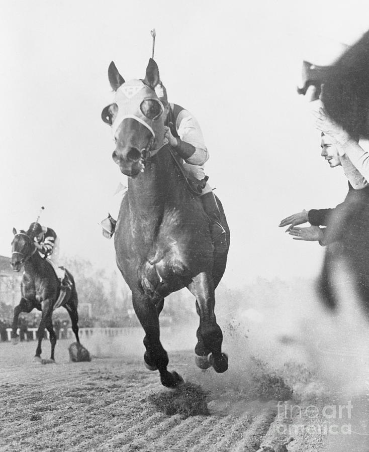 Seabiscuit Winning War Admiral Match by Bettmann