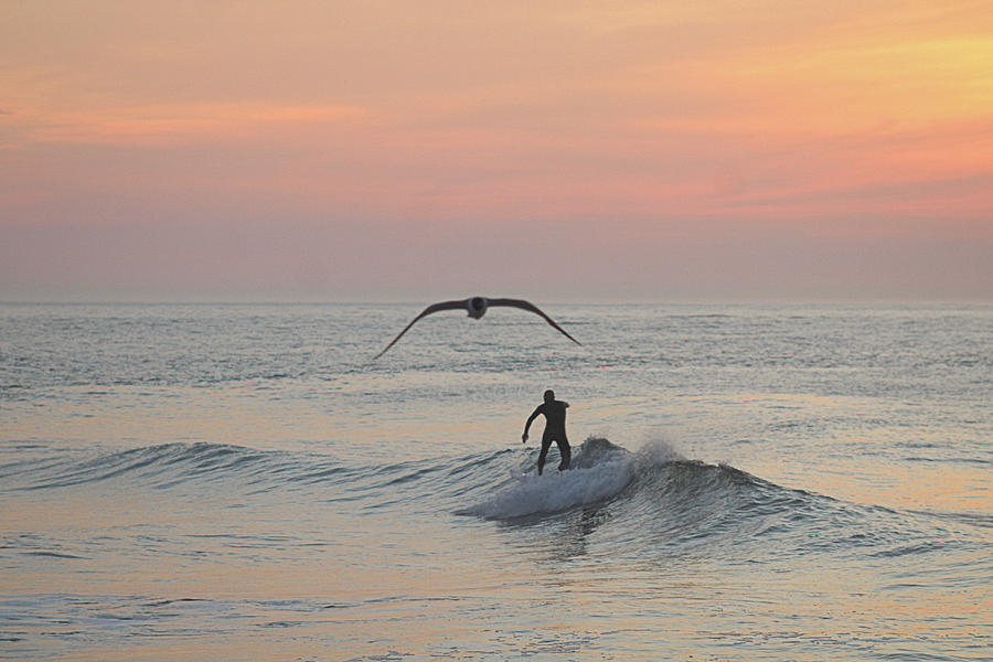 Seagull and a Surfer Photograph by Robert Banach