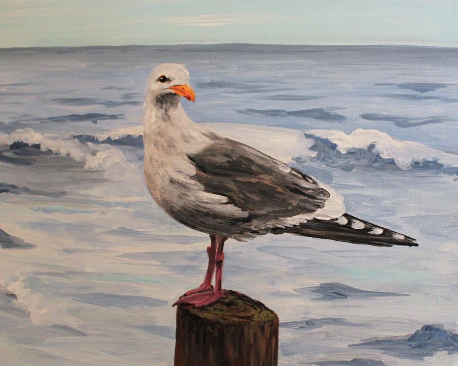 Seagull by Brigitte Miller