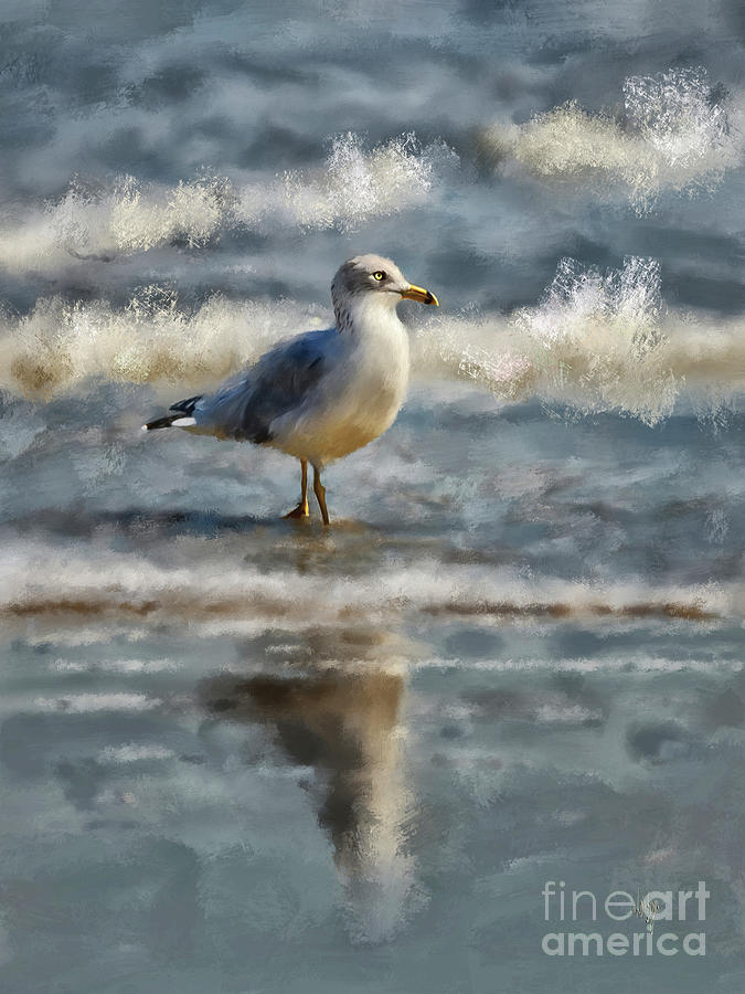 Seagull By The Seashore Digital Art by Lois Bryan