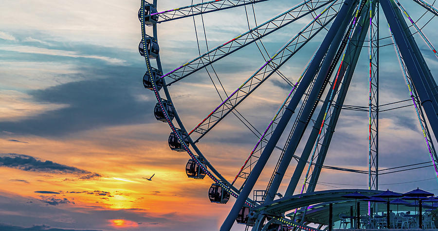 Seagull by Wheel at Sunset Photograph by Darryl Brooks