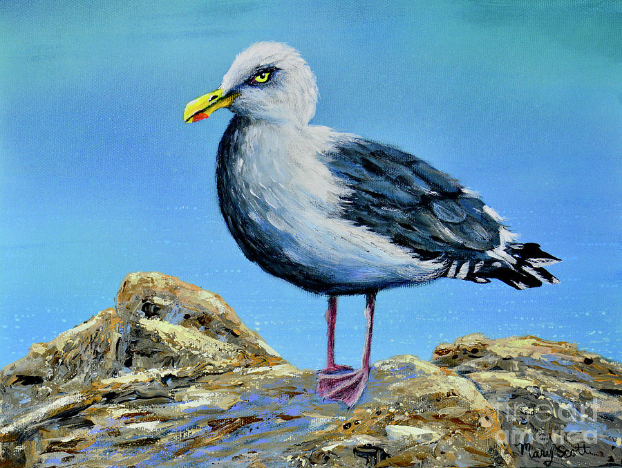 Seagull Lookout Painting by Mary Scott