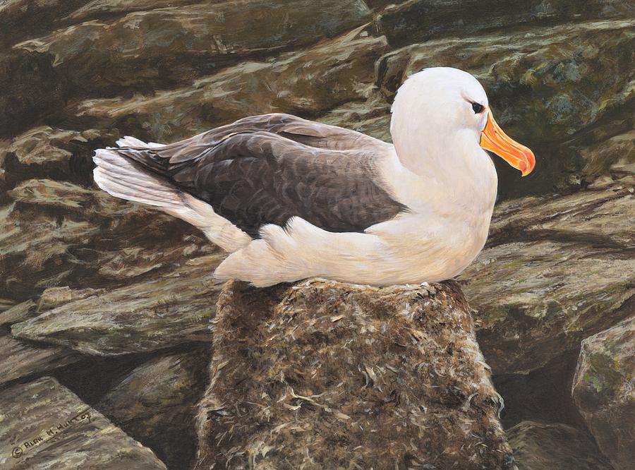 Seagull on Nest by Alan M Hunt Painting by Alan M Hunt