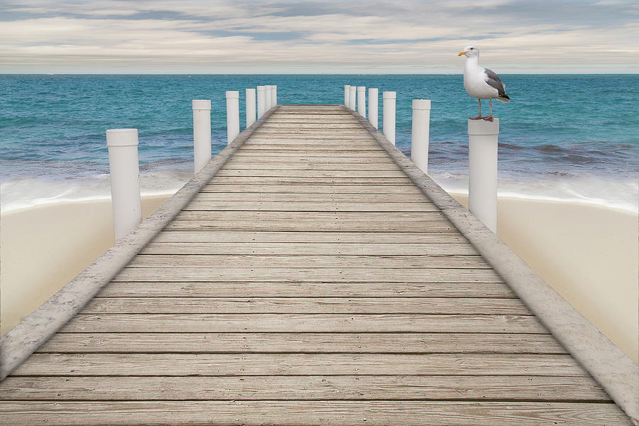 Seagull perched on the pier pillar on the turquoise blue waters by Manny DaCunha Seagull perched on the pier pillar on the turquoise blue waters by Manny DaCunha