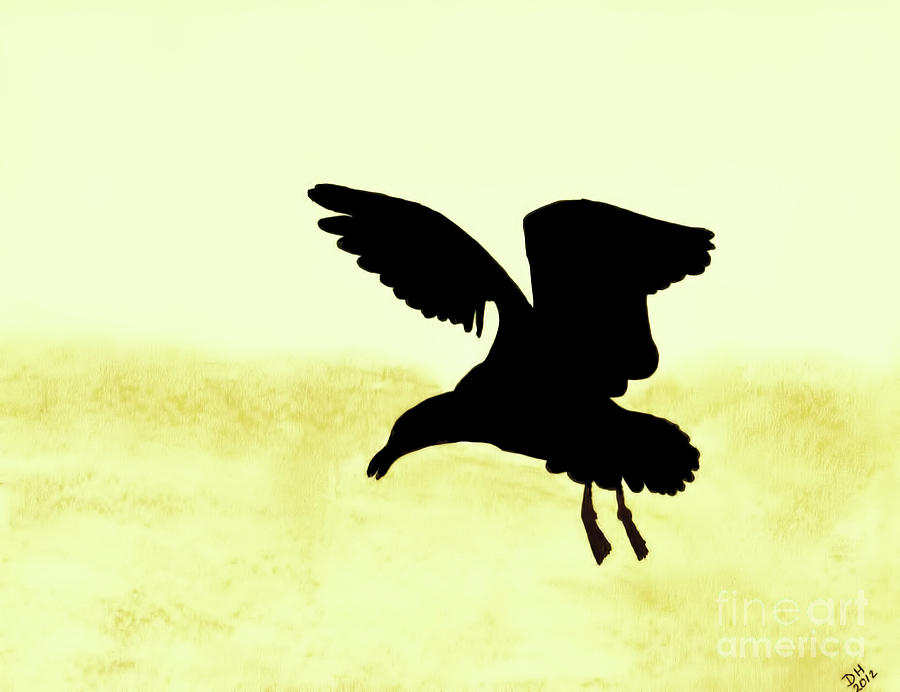 Seagull - Silhouette Drawing by D Hackett