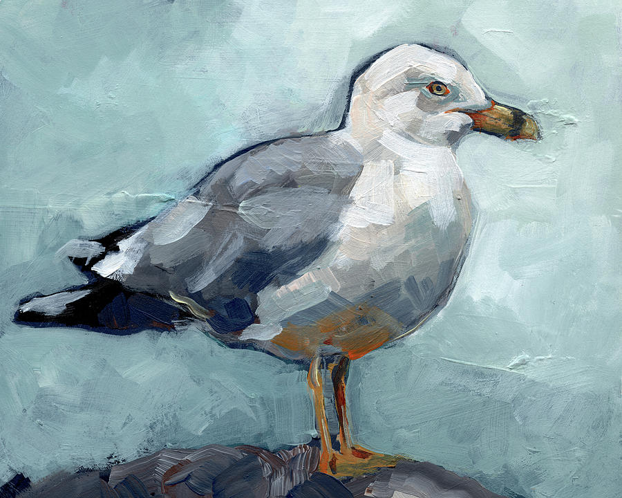 Seagull Stance I Painting by Jennifer Paxton Parker - Fine Art America