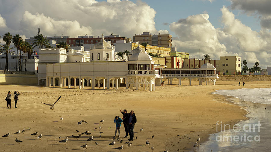 Seagulls at Caleta Beach Cadiz Spain Photograph by Pablo Avanzini