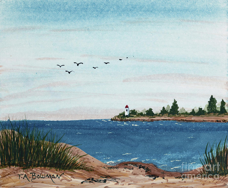 Nature Painting - Seagulls over lighthouse cove by Tracy Bowman