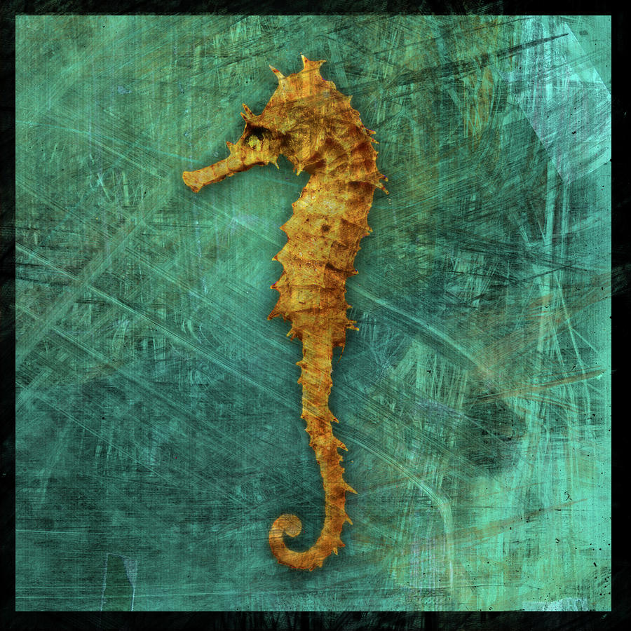Seahorse Digital Art - Seahorse by John W. Golden