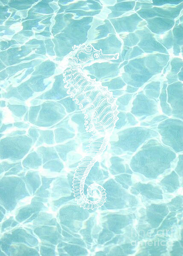 Seahorse Digital Art - Seahorse by Kelley Freel-Ebner