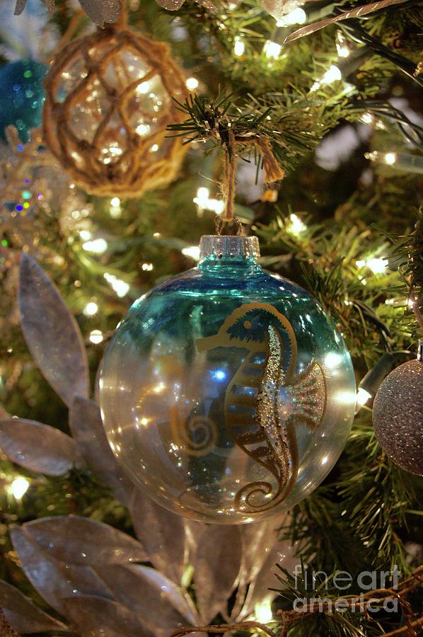 Seahorse Photograph - Seahorse Ornament by Megan Cohen Seahorse Photograph - Seahorse Ornament by Megan Cohen